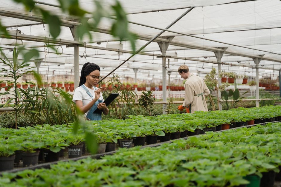 A diverse team working in a lush greenhouse, tending to plants in potted rows under natural light.
